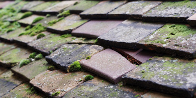 Capel Hendre roof repair costs